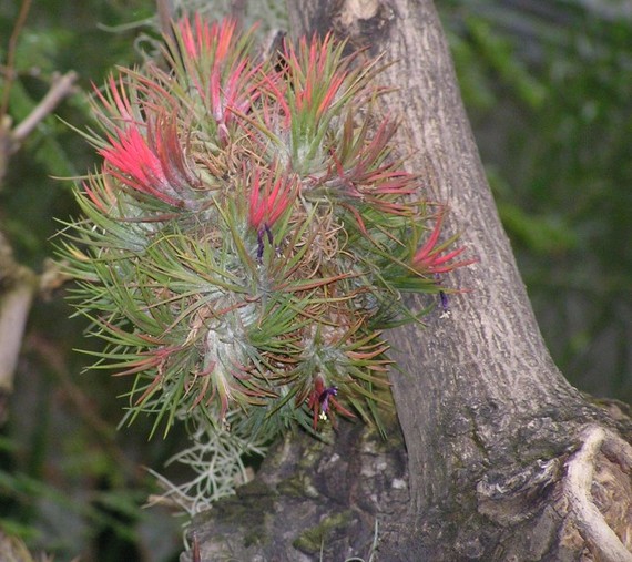 Botanická zahrada - Praha - photo #1