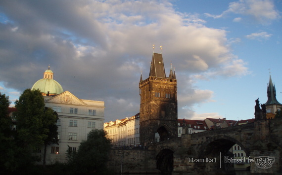 Líbímseti Fajn parník - PRAHA - photo #83