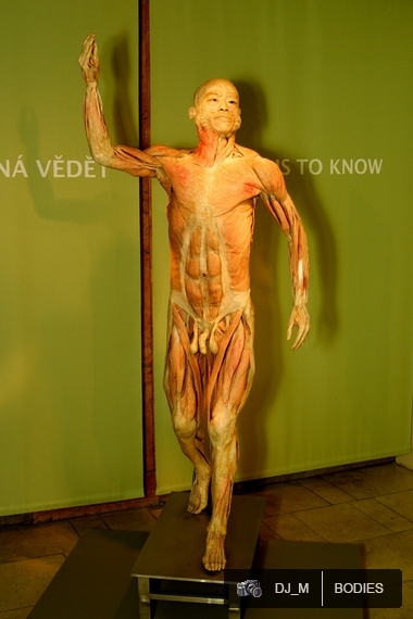 Bodies The exhibition - Praha - photo #1