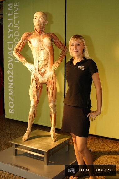 Bodies The exhibition - Praha - photo #125