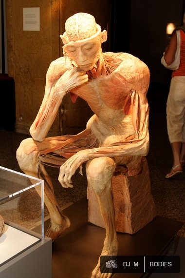 Bodies The exhibition - Praha - photo #21