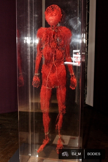 Bodies The exhibition - Praha - photo #42