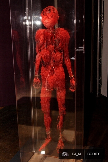 Bodies The exhibition - Praha - photo #43