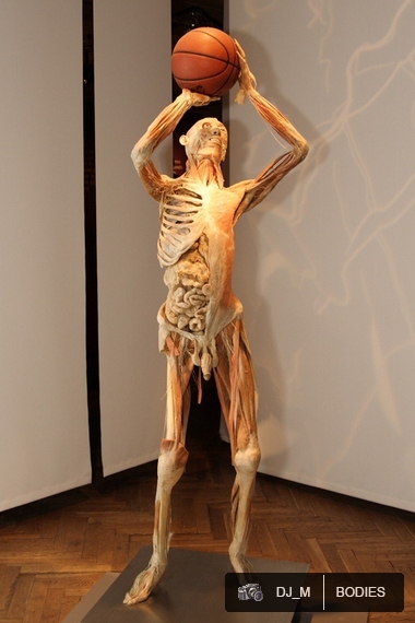 Bodies The exhibition - Praha - photo #9