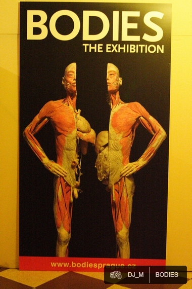 Bodies The exhibition - Praha - photo #97