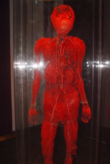 Bodies The exhibition - Praha - photo #10