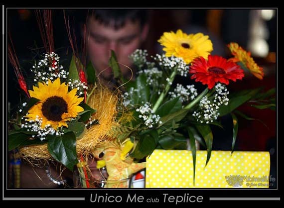 TEPLICE - TEPLICE - photo #14