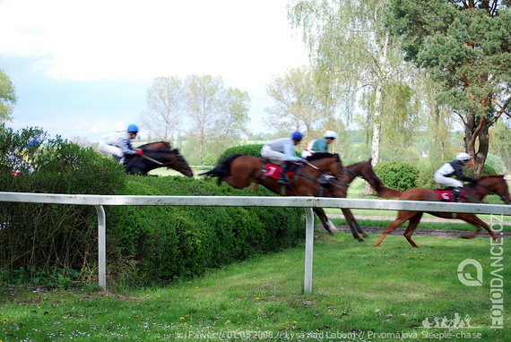 Prvomájová Steeple chase - Lysá nad Labem - photo #21