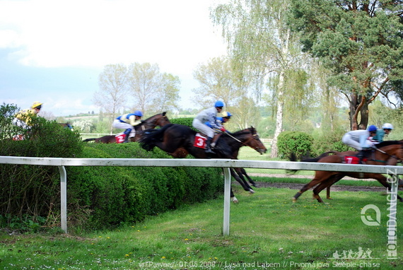 Prvomájová Steeple chase - Lysá nad Labem - photo #22