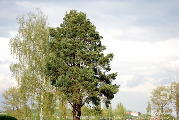 Prvomájová Steeple chase - Lysá nad Labem - photo #37