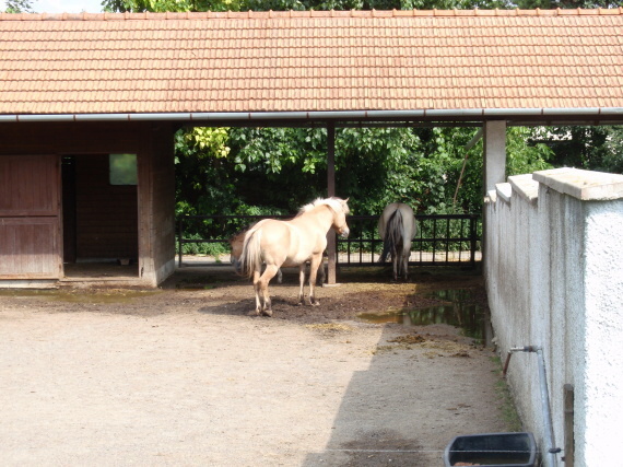 Dinopark - Vyškov - photo #114