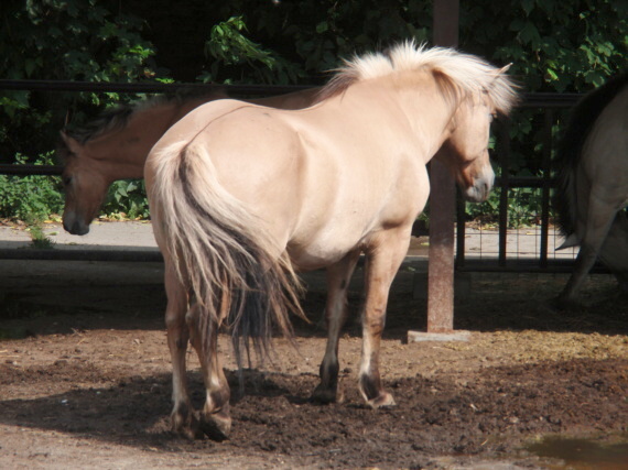 Dinopark - Vyškov - photo #115