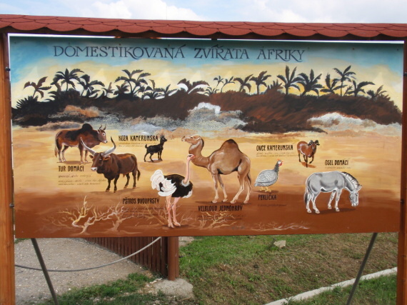 Dinopark - Vyškov - photo #143