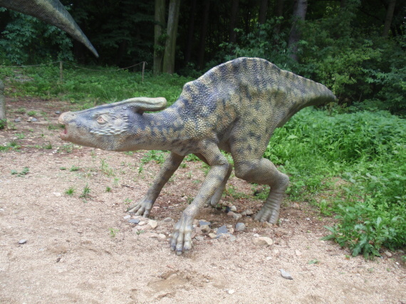 Dinopark - Vyškov - photo #46