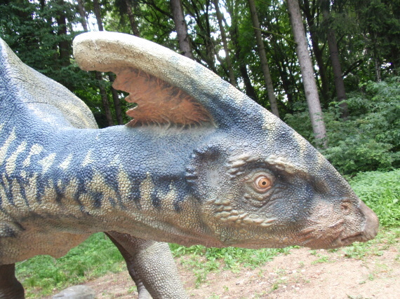 Dinopark - Vyškov - photo #48