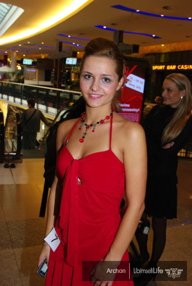 Miss Palladium 2008 - Praha - photo #29