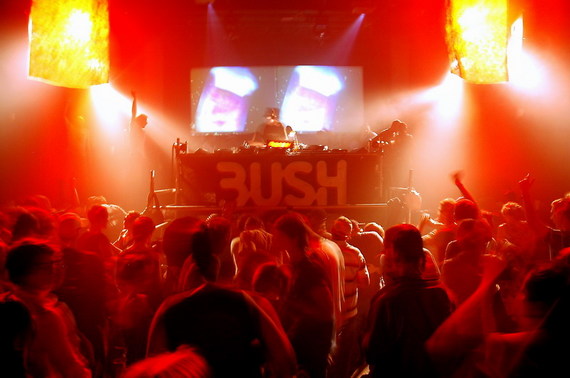 Bush -  - photo #76